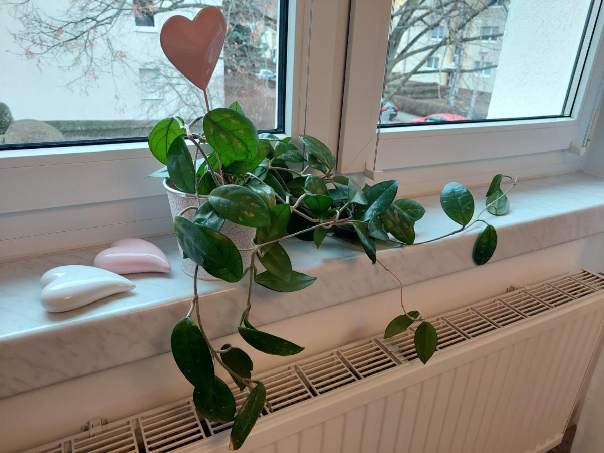 Helles Modern Eingerichtetes Apartment Halle  Εξωτερικό φωτογραφία