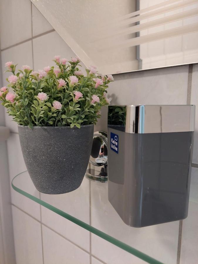 Helles Modern Eingerichtetes Apartment Halle  Εξωτερικό φωτογραφία