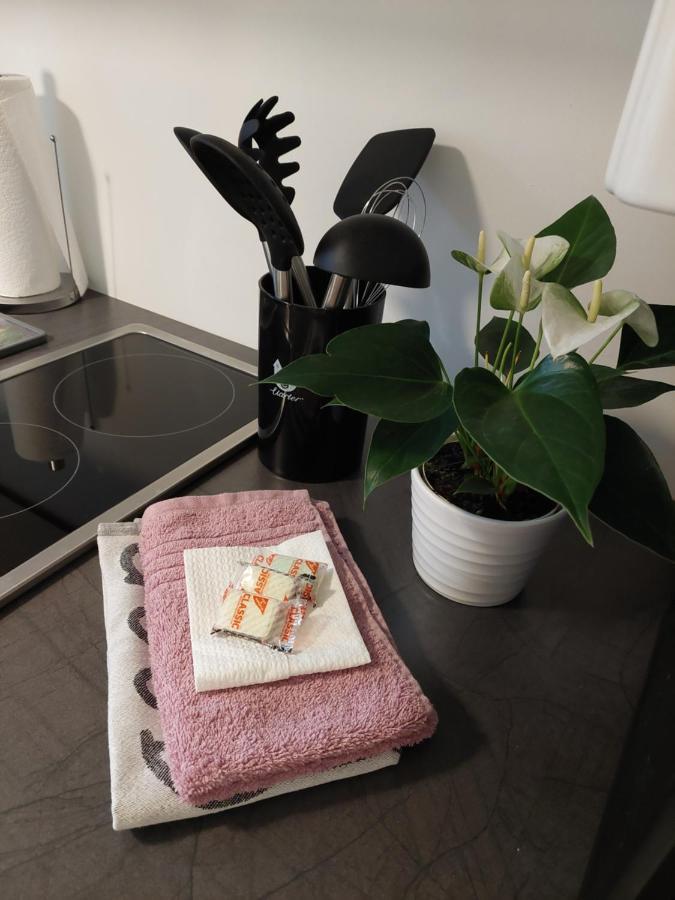 Helles Modern Eingerichtetes Apartment Halle  Εξωτερικό φωτογραφία